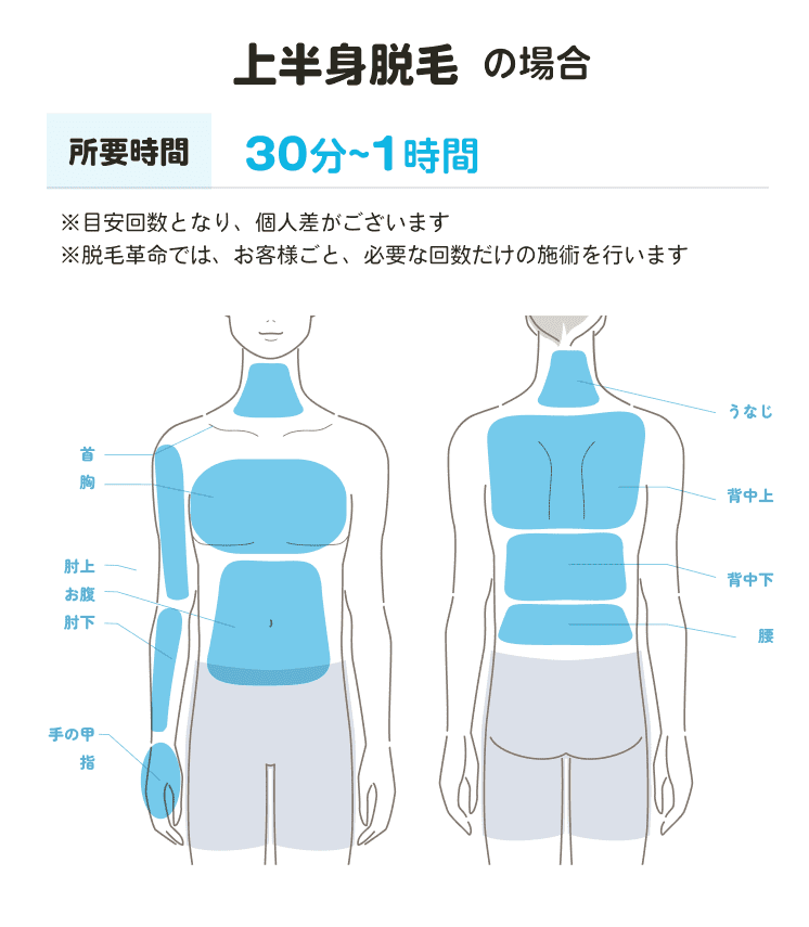 脱毛
