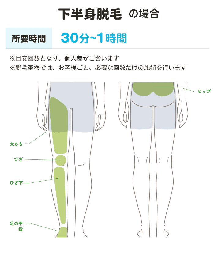 脱毛