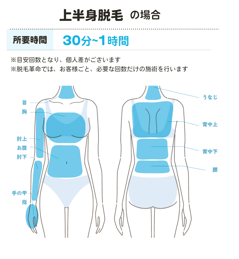 脱毛