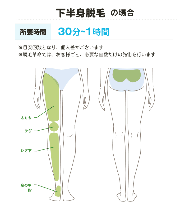 脱毛